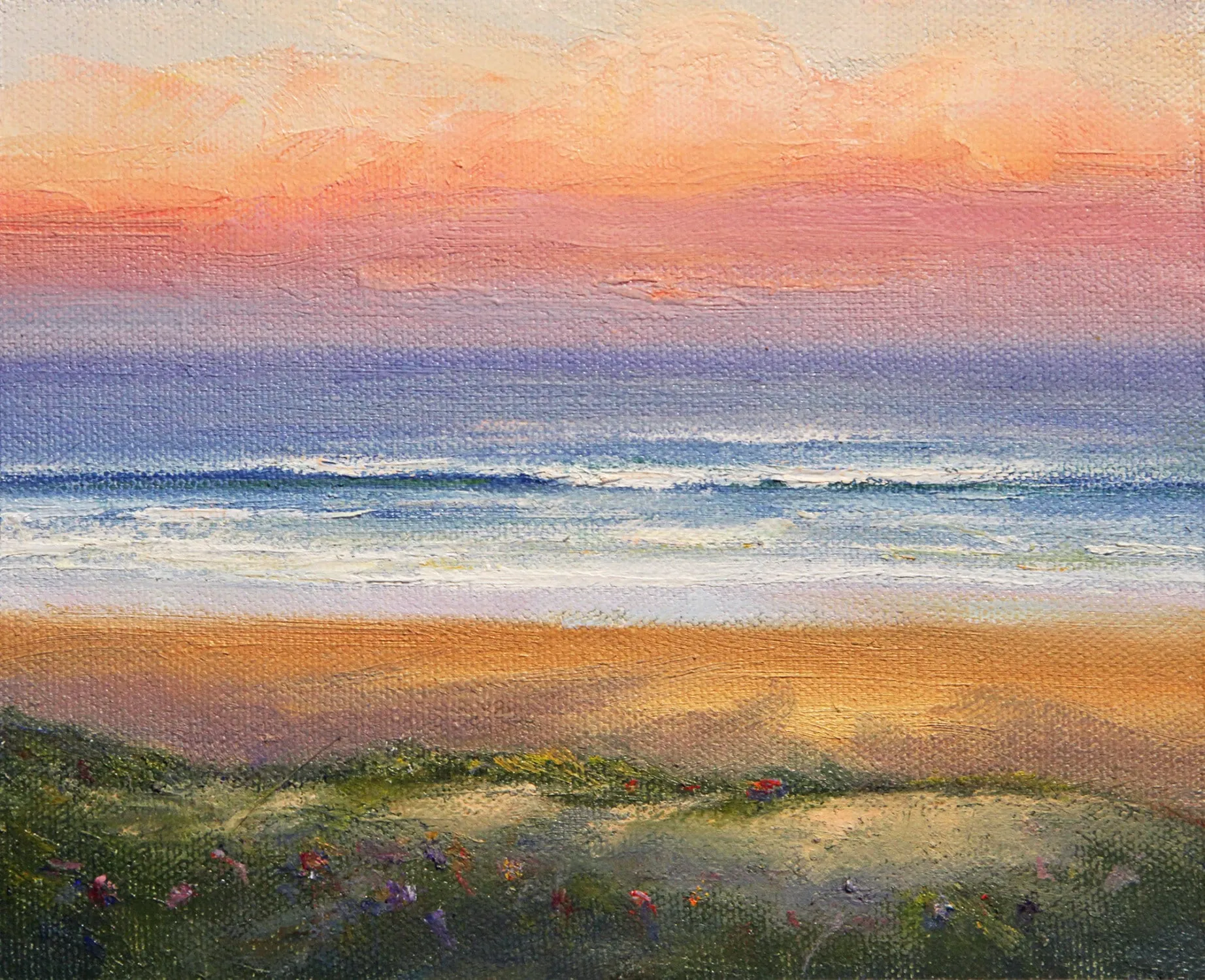 Afternoon Glow - Shelly Beach