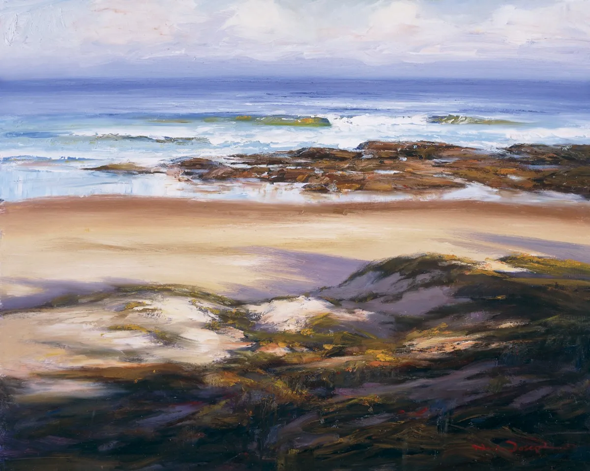 Last Light Shelly Beach